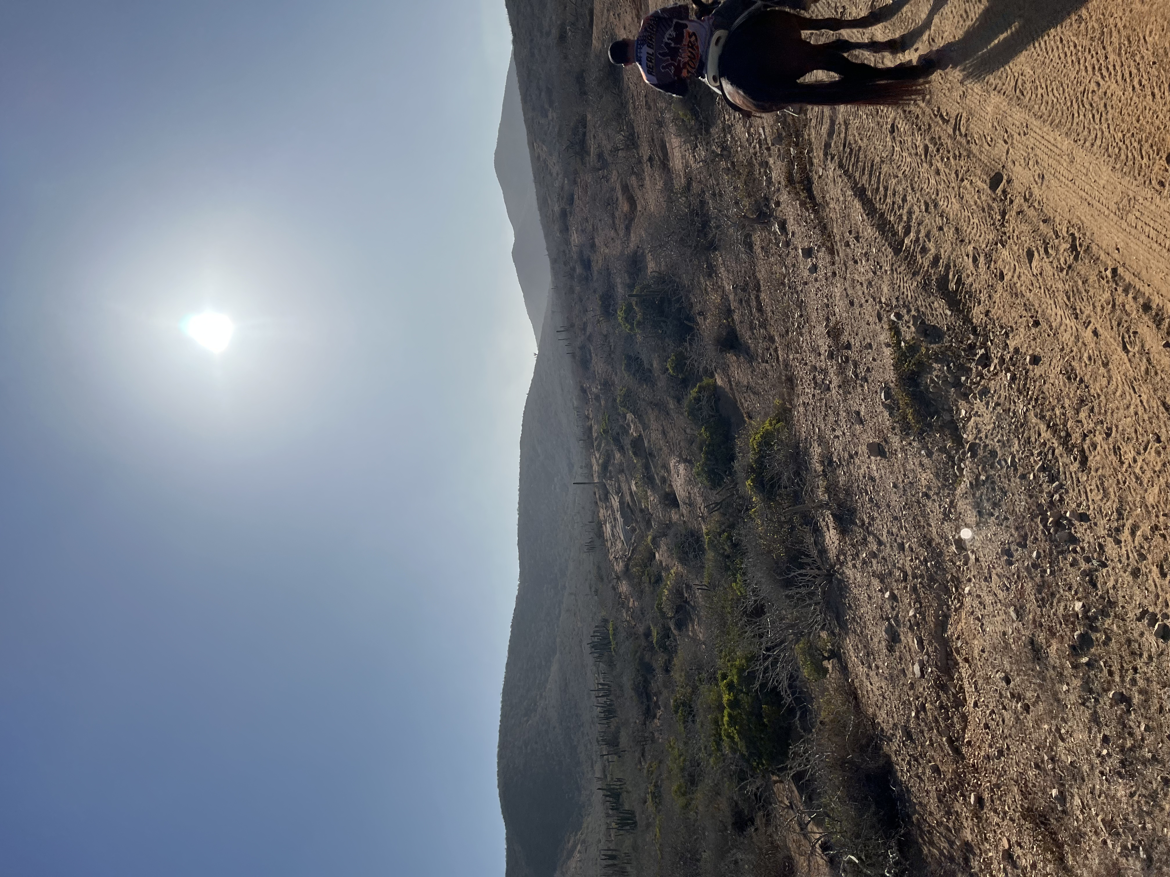 ./2024/13 - Cabo/IMG_4381.jpg